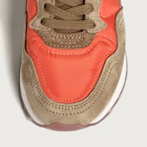 COIMBRA KIDS*HOFF Online