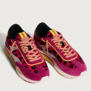 PINK LADY*HOFF Clearance