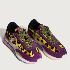 PURPLE LADY*HOFF Discount